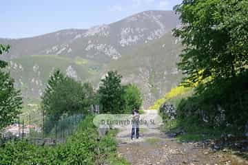 Parque Natural de las Fuentes del Narcea, Degaña e Ibias (Cangas del Narcea). Parque Natural de las Fuentes del Narcea, Degaña e Ibias