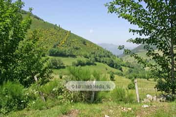 Parque Natural de las Fuentes del Narcea, Degaña e Ibias (Cangas del Narcea). Parque Natural de las Fuentes del Narcea, Degaña e Ibias