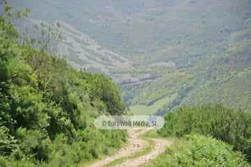 Parque Natural de las Fuentes del Narcea, Degaña e Ibias (Cangas del Narcea). Parque Natural de las Fuentes del Narcea, Degaña e Ibias