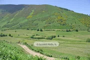 Parque Natural de las Fuentes del Narcea, Degaña e Ibias (Cangas del Narcea). Parque Natural de las Fuentes del Narcea, Degaña e Ibias