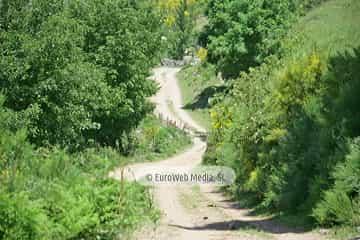 Parque Natural de las Fuentes del Narcea, Degaña e Ibias (Cangas del Narcea). Parque Natural de las Fuentes del Narcea, Degaña e Ibias