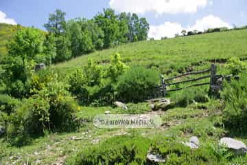 Parque Natural de las Fuentes del Narcea, Degaña e Ibias (Cangas del Narcea). Parque Natural de las Fuentes del Narcea, Degaña e Ibias