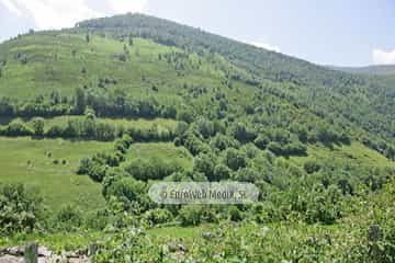 Parque Natural de las Fuentes del Narcea, Degaña e Ibias (Cangas del Narcea). Parque Natural de las Fuentes del Narcea, Degaña e Ibias