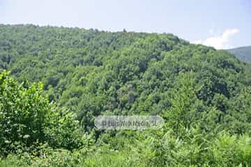 Parque Natural de las Fuentes del Narcea, Degaña e Ibias (Cangas del Narcea). Parque Natural de las Fuentes del Narcea, Degaña e Ibias