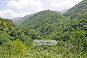 Parque Natural de las Fuentes del Narcea, Degaña e Ibias (Cangas del Narcea). Parque Natural de las Fuentes del Narcea, Degaña e Ibias