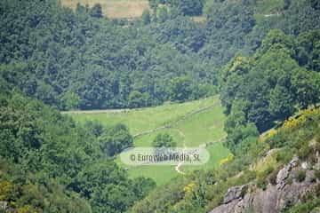 Parque Natural de las Fuentes del Narcea, Degaña e Ibias (Cangas del Narcea). Parque Natural de las Fuentes del Narcea, Degaña e Ibias