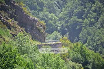 Parque Natural de las Fuentes del Narcea, Degaña e Ibias (Cangas del Narcea). Parque Natural de las Fuentes del Narcea, Degaña e Ibias