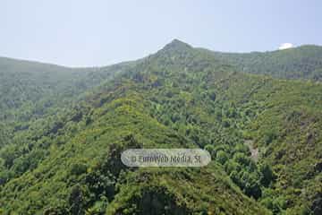 Parque Natural de las Fuentes del Narcea, Degaña e Ibias (Cangas del Narcea). Parque Natural de las Fuentes del Narcea, Degaña e Ibias