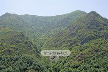 Parque Natural de las Fuentes del Narcea, Degaña e Ibias (Cangas del Narcea). Parque Natural de las Fuentes del Narcea, Degaña e Ibias