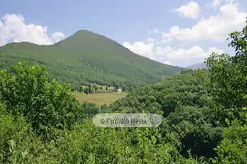 Parque Natural de las Fuentes del Narcea, Degaña e Ibias (Cangas del Narcea). Parque Natural de las Fuentes del Narcea, Degaña e Ibias