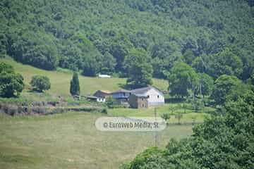 Parque Natural de las Fuentes del Narcea, Degaña e Ibias (Cangas del Narcea). Parque Natural de las Fuentes del Narcea, Degaña e Ibias