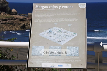 Playa de Arnao (Castrillón). Playa de Arnao