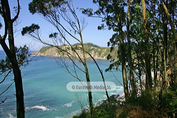 Playa de Torbas