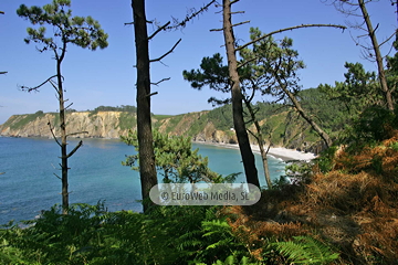 Playa de Torbas