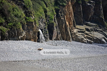 Playa de Torbas