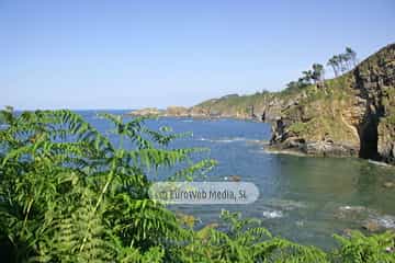 Playa de La Coba