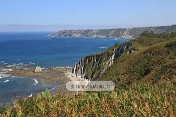 Playa de Los Campizales