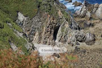 Playa de Los Campizales