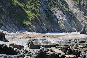 Playa de Los Campizales