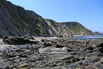 Playa de Los Campizales