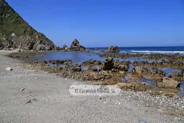 Playa de Los Campizales
