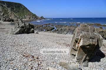 Playa de Los Campizales