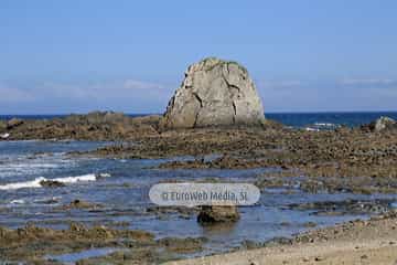 Playa de Los Campizales