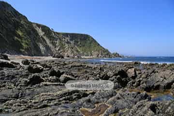 Playa de Los Campizales