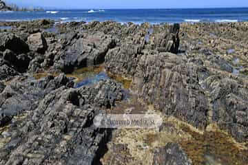 Playa de Los Campizales