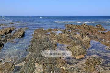 Playa de Los Campizales