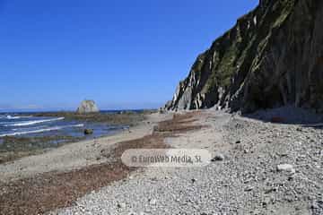 Playa de Los Campizales