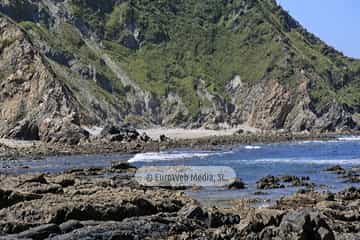 Playa de Los Campizales