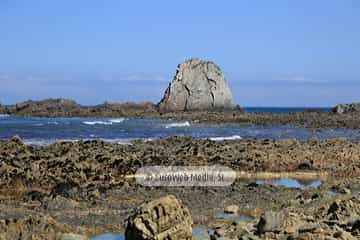 Playa de Los Campizales
