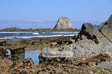 Playa de Los Campizales