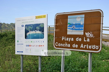 Playa de La Concha de Artedo