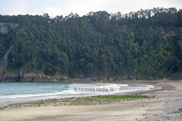 Playa de La Concha de Artedo