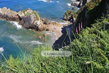 Playa de Riboira