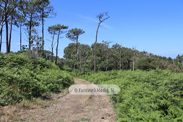 Ruta la Costa Naviega. PR AS-293. Ruta la Costa Naviega