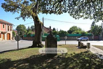 Escultura «Dionisio Cifuentes»
