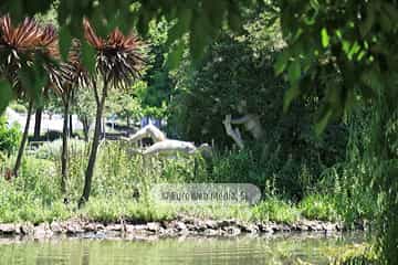 Escultura «Dríadas»