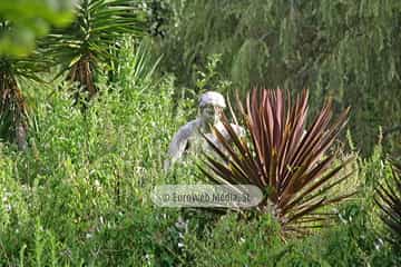 Escultura «Dríadas»