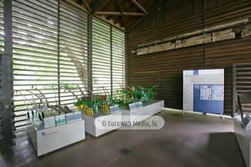 Muséu Etnográficu del Pueblu d'Asturies - Museo Etnográfico del Pueblo de Asturias