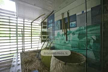 Muséu Etnográficu del Pueblu d'Asturies - Museo Etnográfico del Pueblo de Asturias
