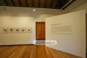 Muséu Etnográficu del Pueblu d'Asturies - Museo Etnográfico del Pueblo de Asturias