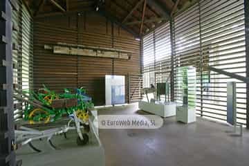 Muséu Etnográficu del Pueblu d'Asturies - Museo Etnográfico del Pueblo de Asturias
