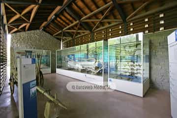 Muséu Etnográficu del Pueblu d'Asturies - Museo Etnográfico del Pueblo de Asturias