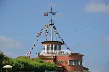 Gaviotas (Gijón). Gaviotas