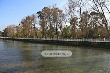 Río Piles