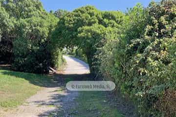 Sendero Litoral del Cervigón