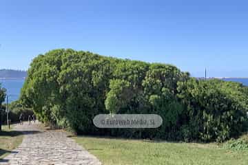 Sendero Litoral del Cervigón
